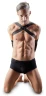 Фиксация на плечи и руки Imitation Leather Armbinder